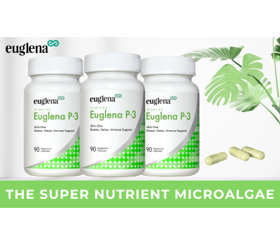 Euglena